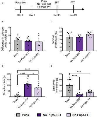 Early Pup Removal Leads to Social Dysfunction and Dopamine Deficit in Late Postpartum Rats: Prevention by Social Support